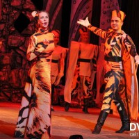 Впервые в Биробиджане показали мюзикл «Как подружились Амур и Тимур» / DVhab